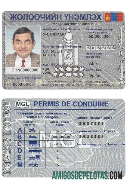 Carta de condução da Mongólia modelo